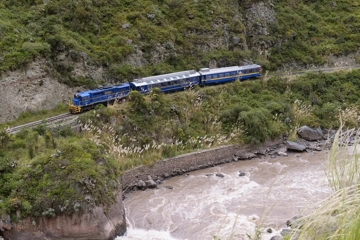 A blue and yellow PeruRail train curving along a green hillside above the brown, fast-flowing Urubamba River